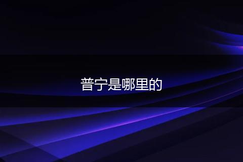 普宁是哪里的