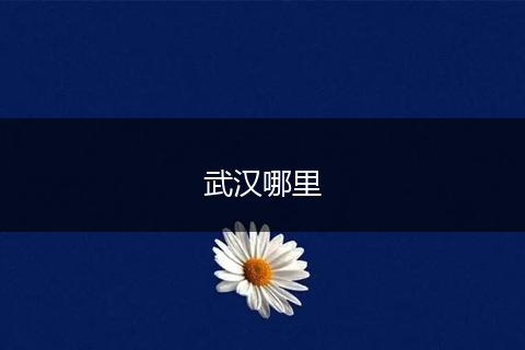 武汉哪里