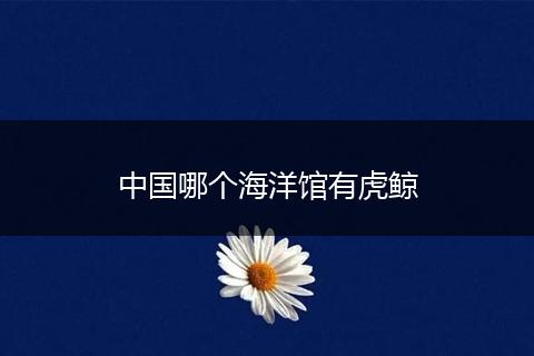 中国哪个海洋馆有虎鲸