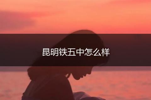 昆明铁五中怎么样