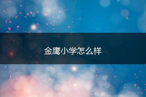 金鹰小学怎么样
