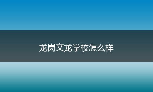 龙岗文龙学校怎么样