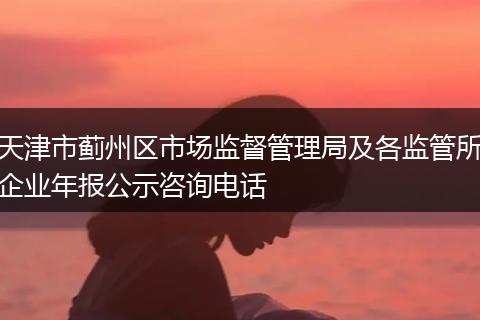 天津市蓟州区市场监督管理局及各监管所企业年报公示咨询电话