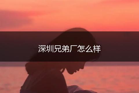 深圳兄弟厂怎么样