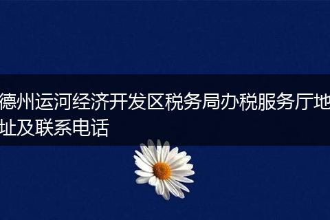 德州运河经济开发区税务局办税服务厅地址及联系电话