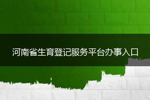 河南省生育登记服务平台办事入口
