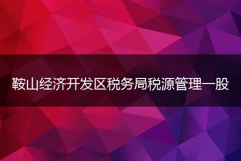 鞍山经济开发区税务局税源管理一股