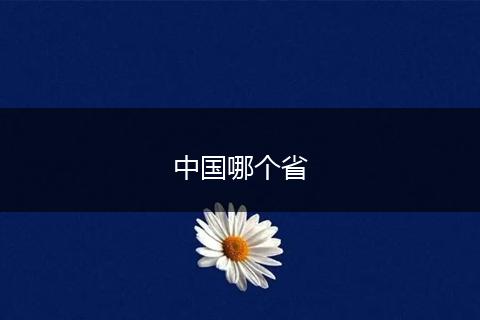 中国哪个省