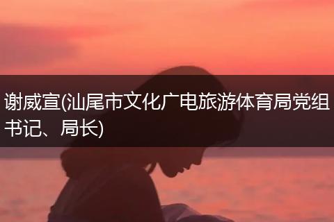 谢威宣(汕尾市文化广电旅游体育局党组书记、局长)