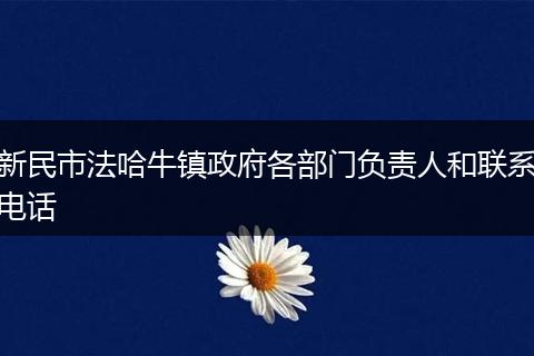 新民市法哈牛镇政府各部门负责人和联系电话
