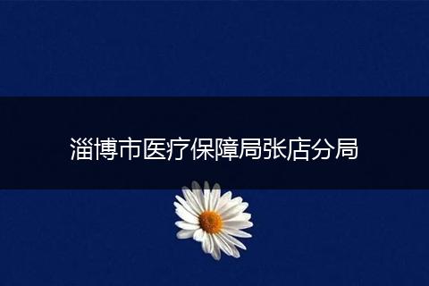 淄博市医疗保障局张店分局