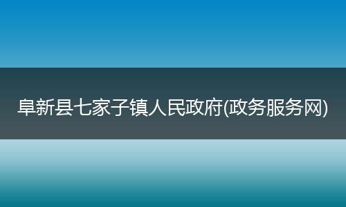 阜新县七家子镇人民政府(政务服务网)