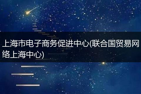上海市电子商务促进中心(联合国贸易网络上海中心)