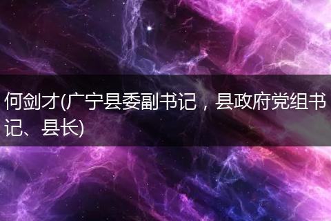 何剑才(广宁县委副书记，县政府党组书记、县长)