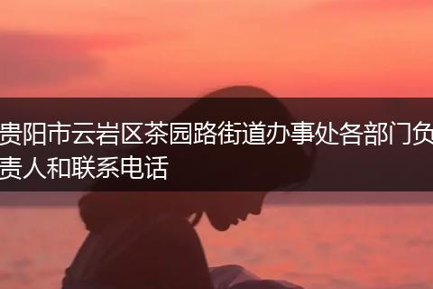 贵阳市云岩区茶园路街道办事处各部门负责人和联系电话