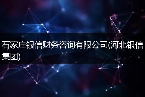 石家庄银信财务咨询有限公司(河北银信集团)