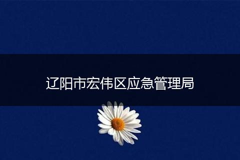 辽阳市宏伟区应急管理局