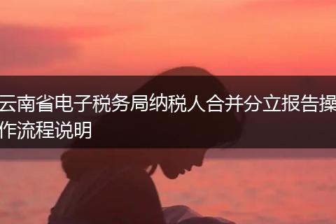 云南省电子税务局纳税人合并分立报告操作流程说明