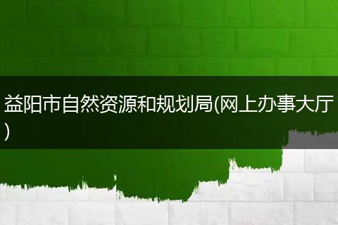 益阳市自然资源和规划局(网上办事大厅)