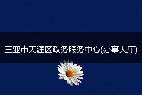 三亚市天涯区政务服务中心(办事大厅)