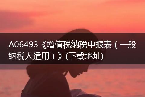 A06493《增值税纳税申报表（一般纳税人适用）》(下载地址)