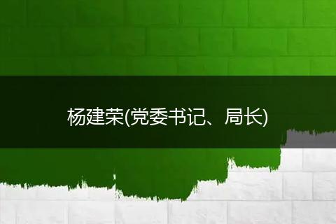 杨建荣(党委书记、局长)