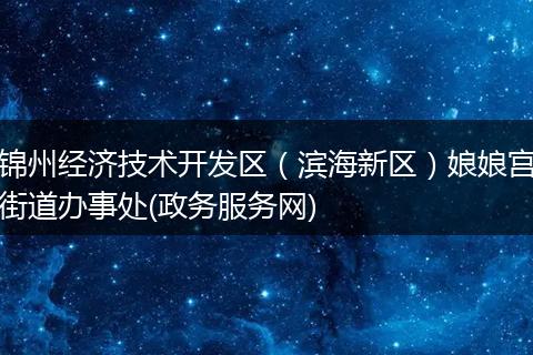 锦州经济技术开发区（滨海新区）娘娘宫街道办事处(政务服务网)