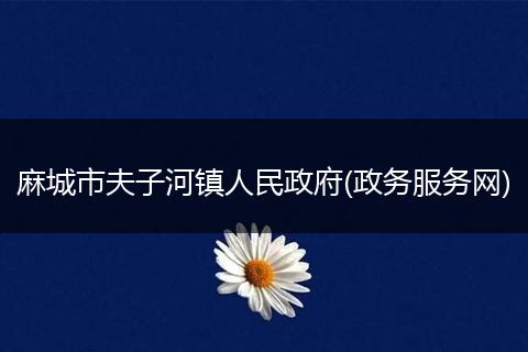 麻城市夫子河镇人民政府(政务服务网)