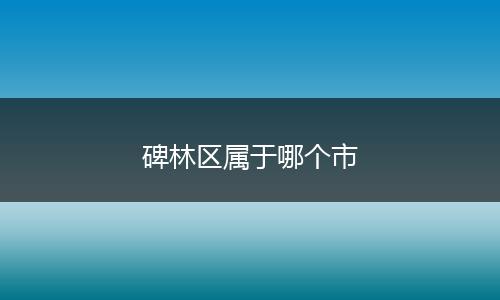碑林区属于哪个市