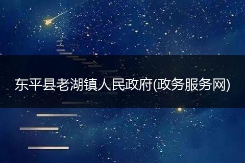 东平县老湖镇人民政府(政务服务网)
