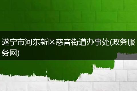 遂宁市河东新区慈音街道办事处(政务服务网)