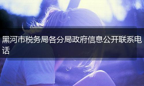 黑河市税务局各分局政府信息公开联系电话