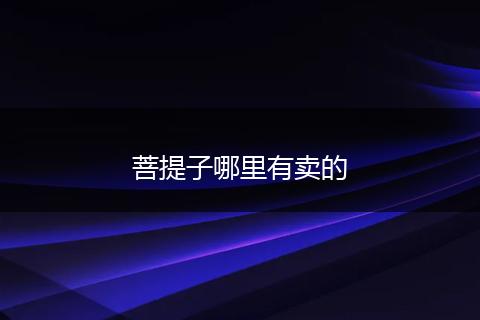 菩提子哪里有卖的
