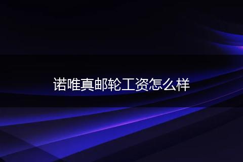 诺唯真邮轮工资怎么样