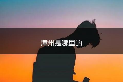 漳州是哪里的