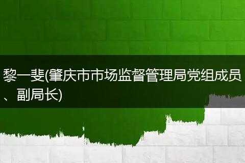 黎一斐(肇庆市市场监督管理局党组成员、副局长)