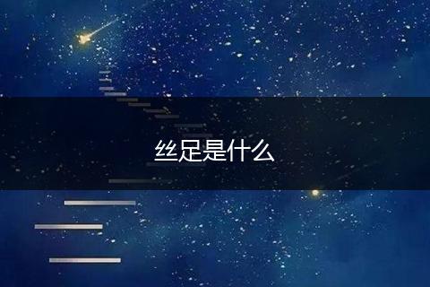 丝足是什么