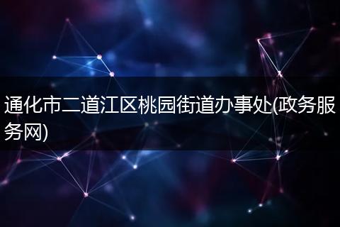 通化市二道江区桃园街道办事处(政务服务网)