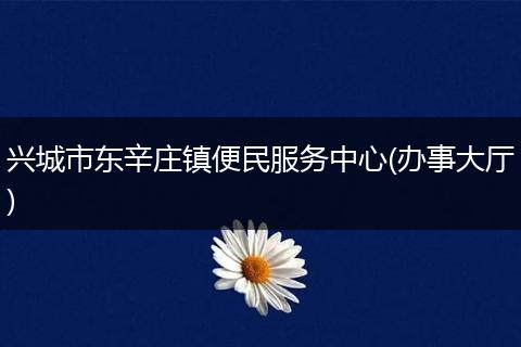 兴城市东辛庄镇便民服务中心(办事大厅)