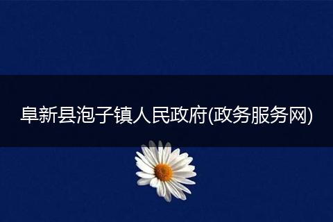 阜新县泡子镇人民政府(政务服务网)