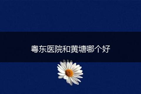 粤东医院和黄塘哪个好