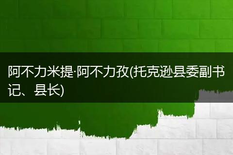 阿不力米提·阿不力孜(托克逊县委副书记、县长)