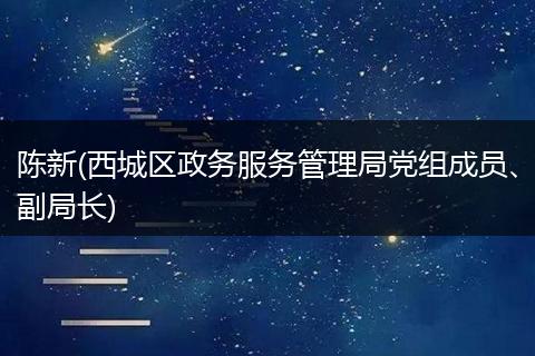 陈新(西城区政务服务管理局党组成员、副局长)