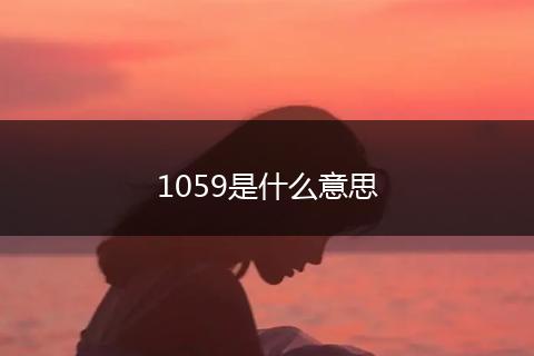 1059是什么意思