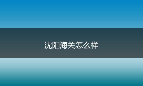 沈阳海关怎么样