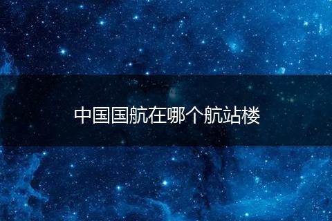 中国国航在哪个航站楼