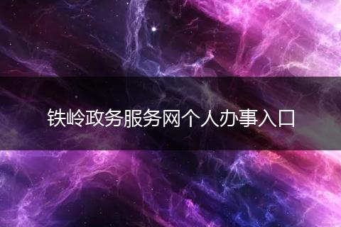 铁岭政务服务网个人办事入口