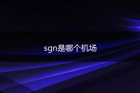 sgn是哪个机场