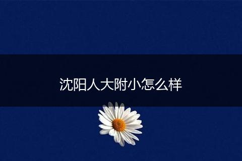 沈阳人大附小怎么样