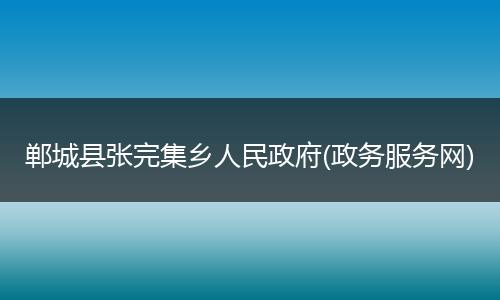 郸城县张完集乡人民政府(政务服务网)